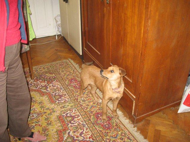 2104_1.jpg