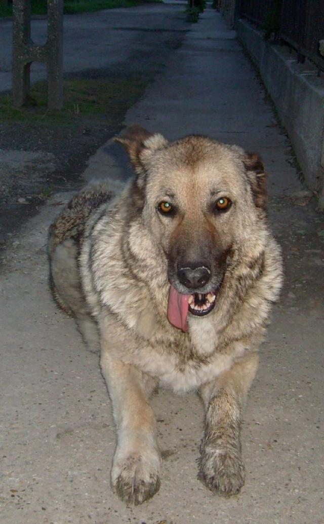 2352_1.jpg