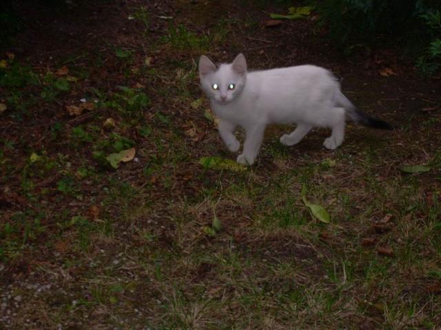 2703_1.jpg