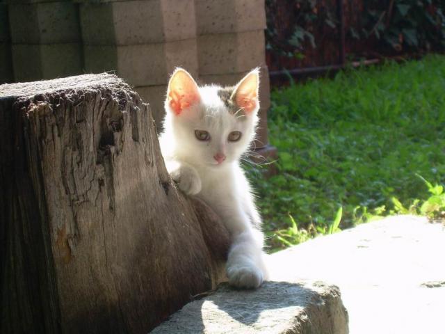 2704_1.jpg