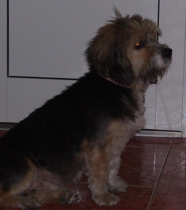2935_1.jpg