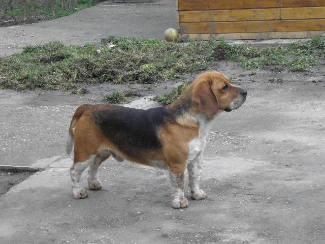 3789.jpg
