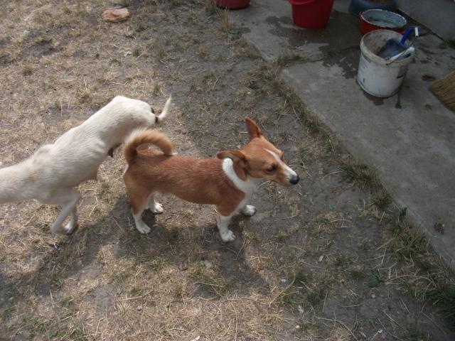 4181_1.jpg
