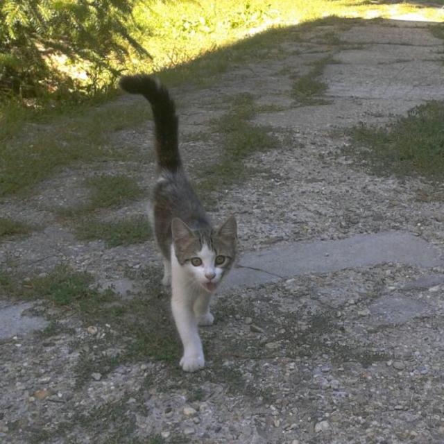 5685.jpg