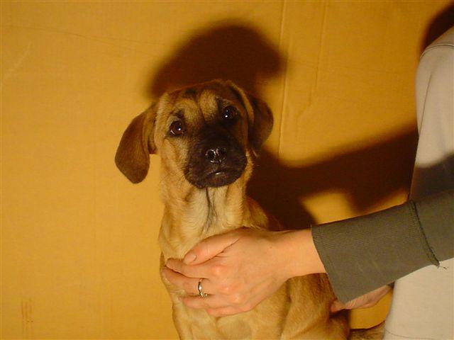 1303.jpg