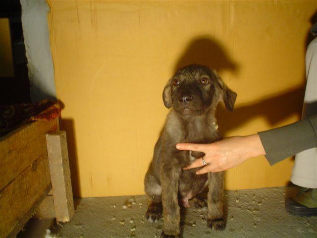 1304.jpg