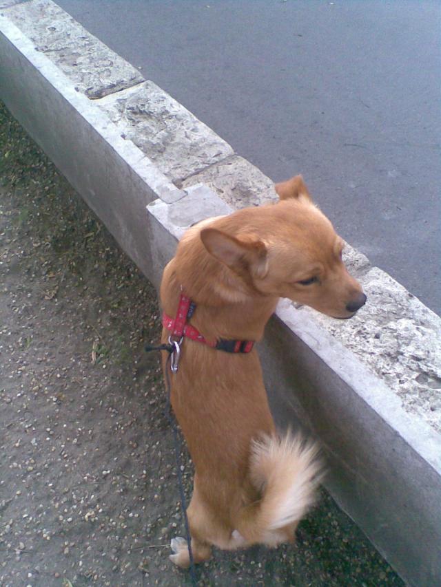 4031.jpg