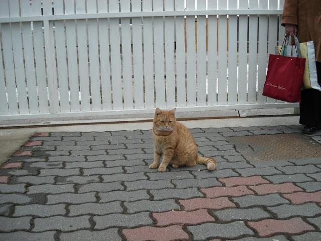 4549.jpg