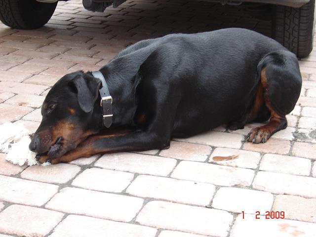 4583.jpg