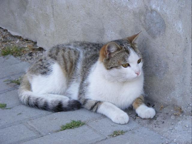 4692.jpg
