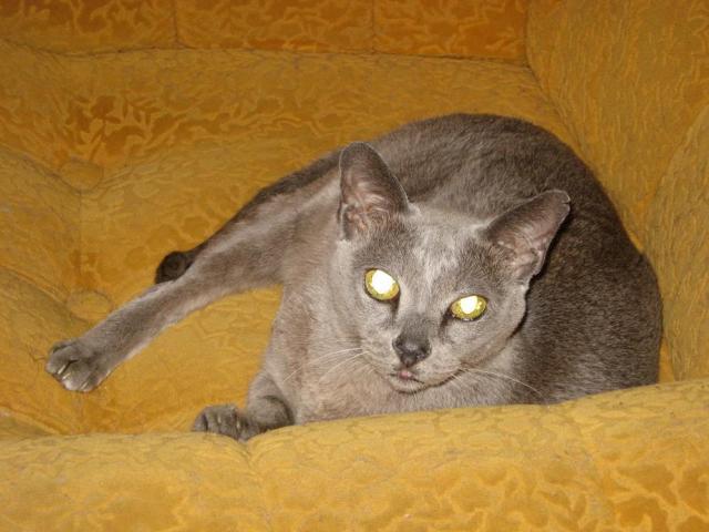 4755_1.jpg