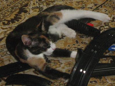 4992_1.jpg