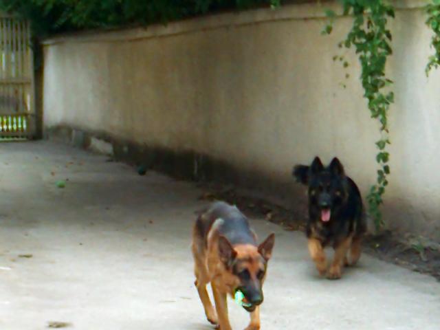 8047_1.jpg