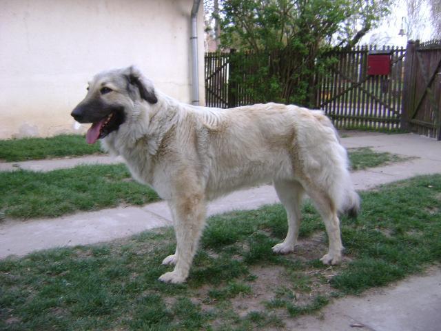 8346.jpg